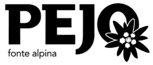 294796477_479669007493322_9132350881929024868_n