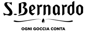 55875500_868314973501974_7132123430748422144_n
